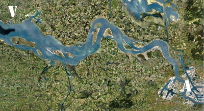 Image of Westerschelde from Antwerp in the east to Vlissing in the west